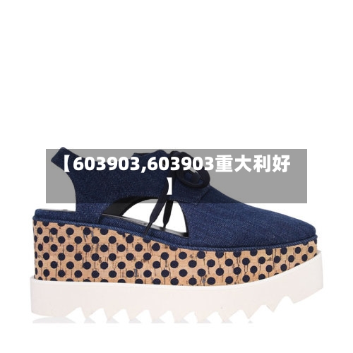 【603903,603903重大利好】-第2张图片