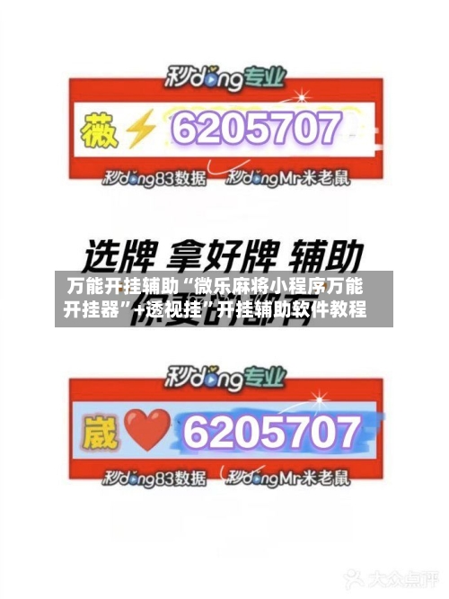 万能开挂辅助“微乐麻将小程序万能开挂器	”+透视挂”开挂辅助软件教程-第3张图片