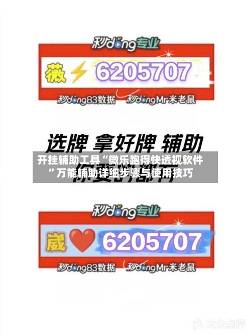 开挂辅助工具“微乐跑得快透视软件”万能辅助详细步骤与使用技巧-第2张图片