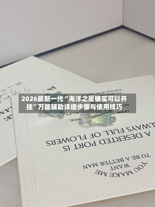 2026最新一代“海洋之星确实可以开挂”万能辅助详细步骤与使用技巧-第2张图片