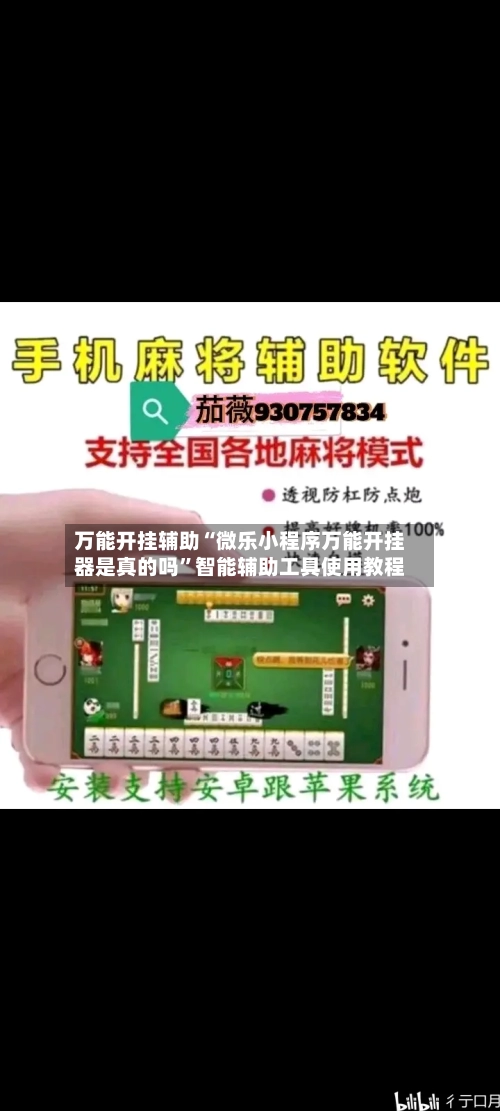 万能开挂辅助“微乐小程序万能开挂器是真的吗”智能辅助工具使用教程-第1张图片