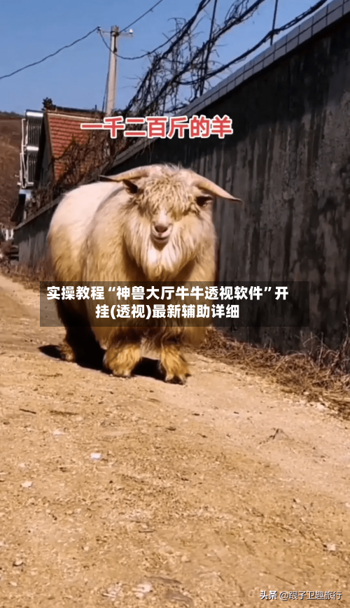 实操教程“神兽大厅牛牛透视软件”开挂(透视)最新辅助详细-第1张图片