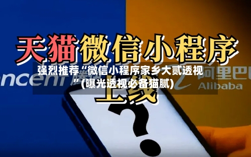 强烈推荐“微信小程序家乡大贰透视”(曝光透视必备猫腻)-第3张图片