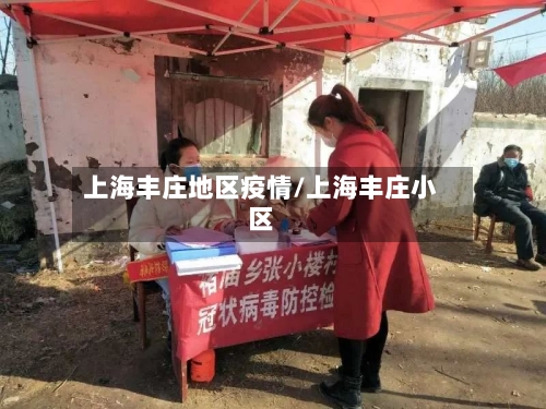 上海丰庄地区疫情/上海丰庄小区-第3张图片