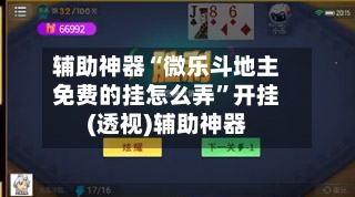 辅助神器“微乐斗地主免费的挂怎么弄”开挂(透视)辅助神器-第1张图片