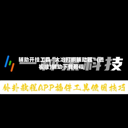 辅助开挂工具“大冶打拱辅助器”(透视挂)辅助下载教程-第1张图片