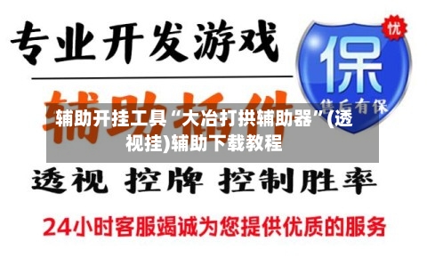 辅助开挂工具“大冶打拱辅助器	”(透视挂)辅助下载教程-第2张图片