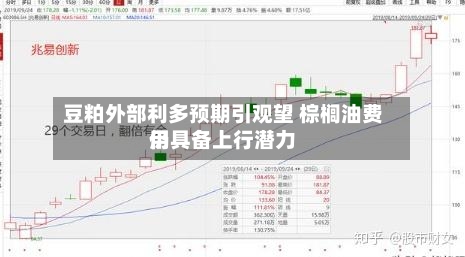 豆粕外部利多预期引观望 棕榈油费用
仍具备上行潜力-第2张图片