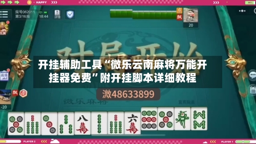 开挂辅助工具“微乐云南麻将万能开挂器免费”附开挂脚本详细教程-第2张图片