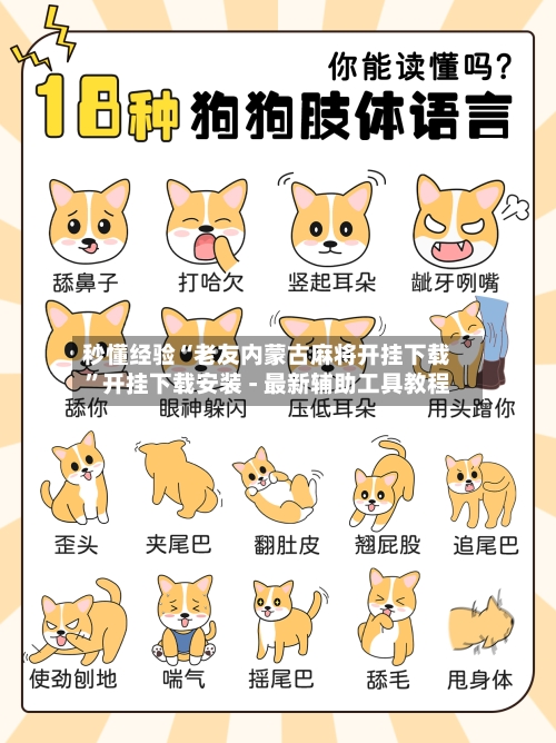 秒懂经验“老友内蒙古麻将开挂下载”开挂下载安装 - 最新辅助工具教程-第1张图片