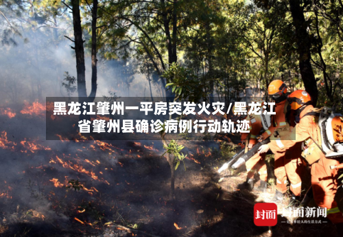 黑龙江肇州一平房突发火灾/黑龙江省肇州县确诊病例行动轨迹-第2张图片