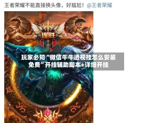 玩家必知“微信牛牛透视挂怎么安装免费”开挂辅助脚本+详细开挂-第1张图片