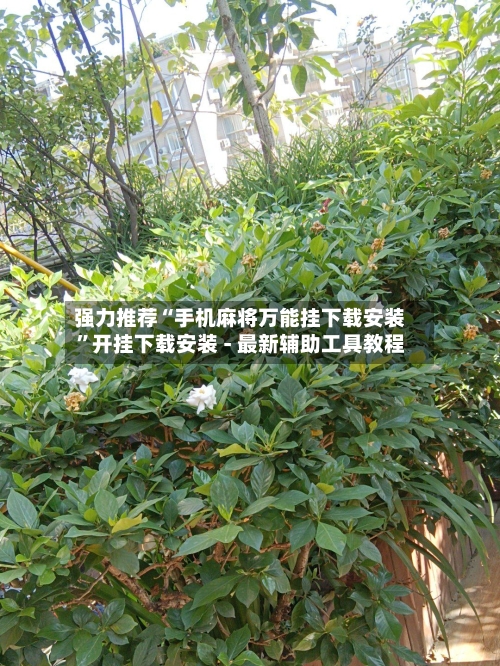 强力推荐“手机麻将万能挂下载安装”开挂下载安装 - 最新辅助工具教程-第2张图片