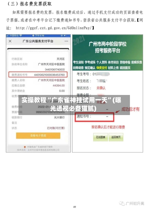 实操教程“广东雀神挂试用一天”(曝光透视必备猫腻)-第3张图片