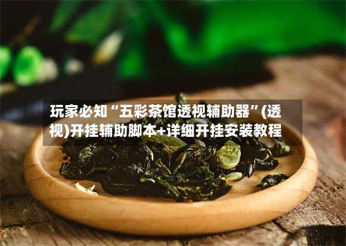 玩家必知“五彩茶馆透视辅助器”(透视)开挂辅助脚本+详细开挂安装教程-第2张图片