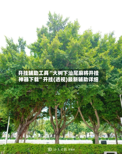开挂辅助工具“大树下汕尾麻将开挂神器下载”开挂(透视)最新辅助详细-第1张图片