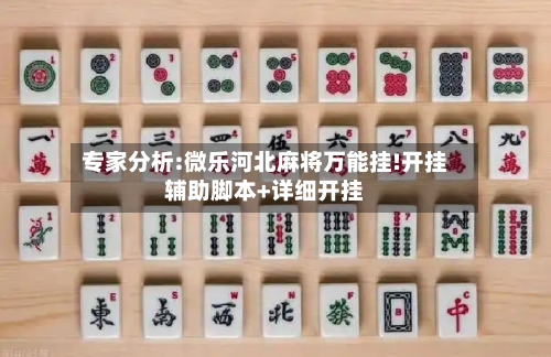专家分析:微乐河北麻将万能挂!开挂辅助脚本+详细开挂-第2张图片