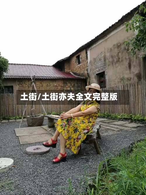 土街/土街亦夫全文完整版-第1张图片