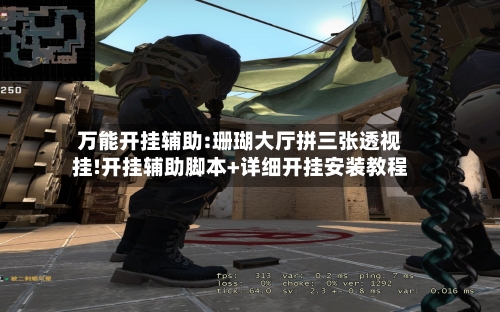 万能开挂辅助:珊瑚大厅拼三张透视挂!开挂辅助脚本+详细开挂安装教程-第2张图片