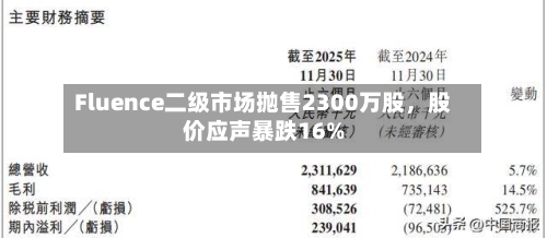 Fluence二级市场抛售2300万股，股价应声暴跌16%-第2张图片