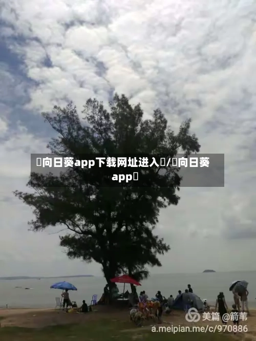 卍向日葵app下载网址进入卍/卍向日葵app卐-第1张图片