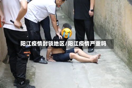 阳江疫情封锁地区/阳江疫情严重吗-第1张图片