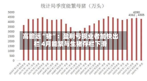 高瞻远“猪	”：盈利亏损业者加快出栏 4月能繁与生猪存栏下滑-第1张图片