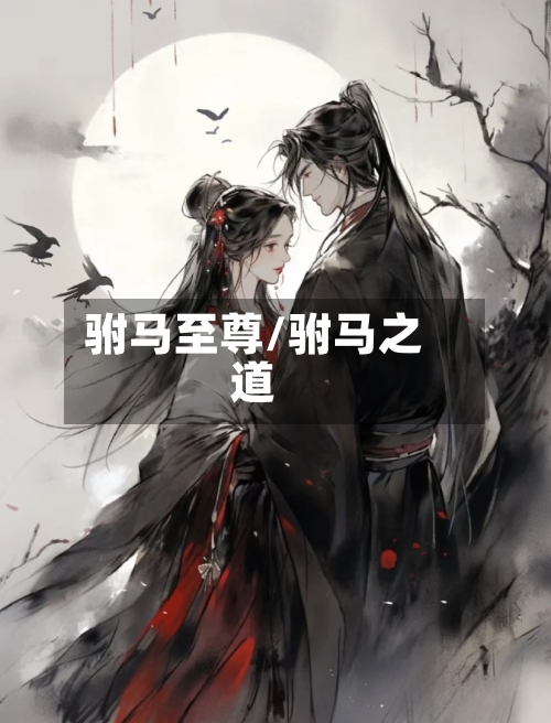 驸马至尊/驸马之道-第2张图片