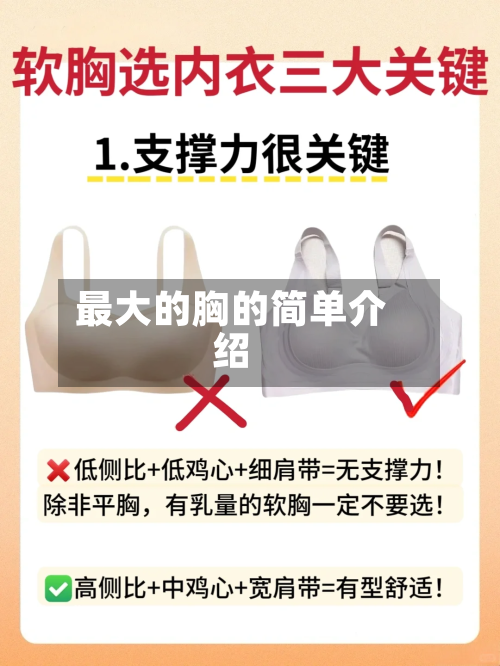 最大的胸的简单介绍-第1张图片