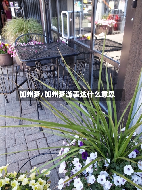 加州梦/加州梦游表达什么意思-第1张图片
