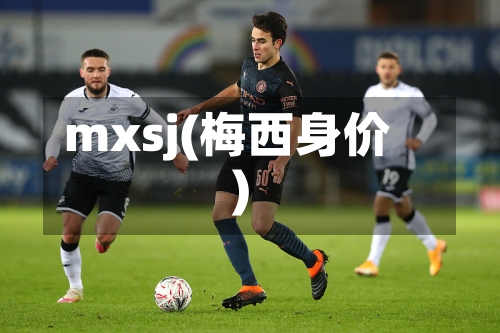 mxsj(梅西身价)-第3张图片