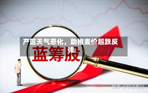 产区天气恶化	，助推麦价超跌反弹-第1张图片