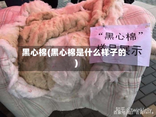 黑心棉(黑心棉是什么样子的)-第1张图片