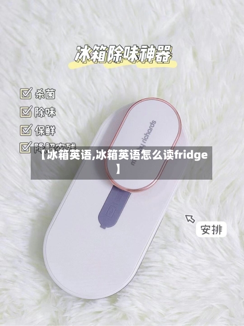 【冰箱英语,冰箱英语怎么读fridge】-第1张图片