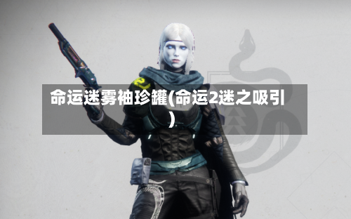 命运迷雾袖珍罐(命运2迷之吸引)-第2张图片