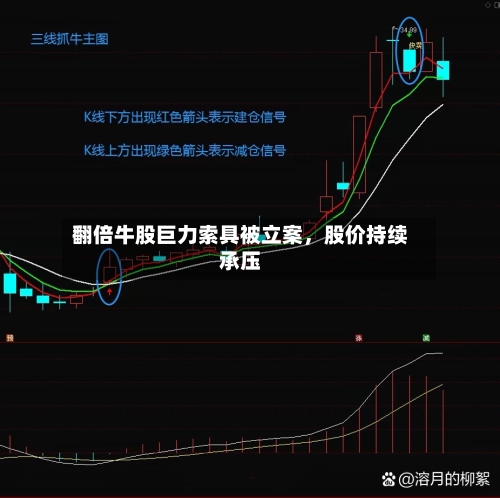 翻倍牛股巨力索具被立案	，股价持续承压-第3张图片