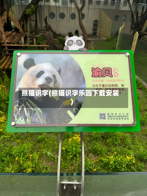熊猫识字(熊猫识字乐园下载安装)-第3张图片