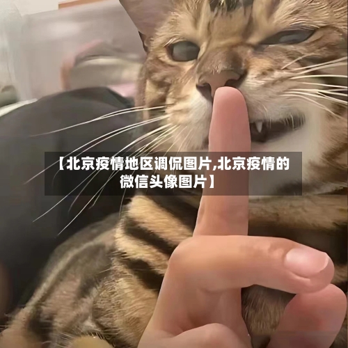 【北京疫情地区调侃图片,北京疫情的微信头像图片】-第1张图片