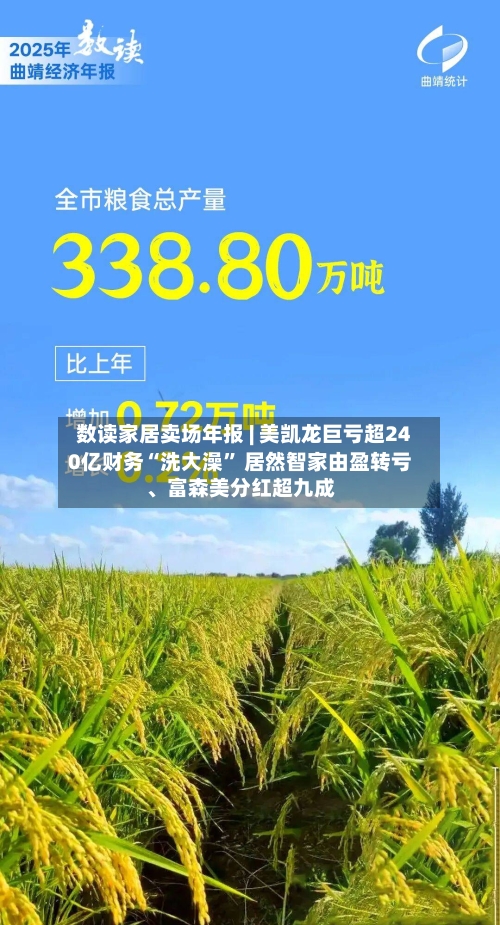 数读家居卖场年报 | 美凯龙巨亏超240亿财务“洗大澡” 居然智家由盈转亏、富森美分红超九成-第1张图片