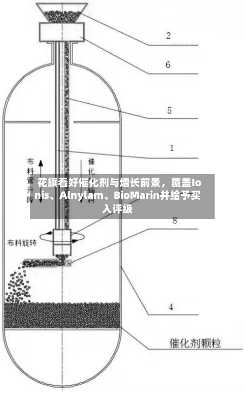 花旗看好催化剂与增长前景，覆盖Ionis、Alnylam	、BioMarin并给予买入评级-第1张图片