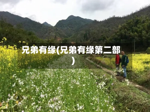 兄弟有缘(兄弟有缘第二部)-第2张图片