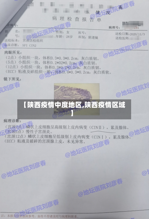 【陕西疫情中度地区,陕西疫情区域】-第1张图片