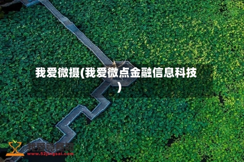 我爱微摄(我爱微点金融信息科技)-第2张图片