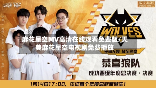 麻花星空MV高清在线观看免费版/天美麻花星空电视剧免费播放-第3张图片