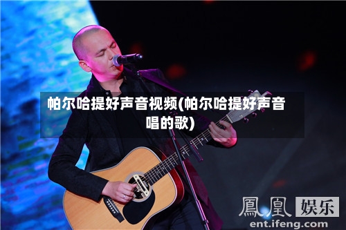 帕尔哈提好声音视频(帕尔哈提好声音唱的歌)-第2张图片