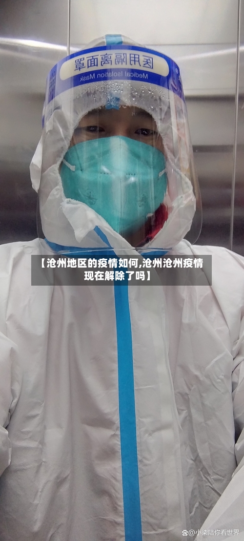 【沧州地区的疫情如何,沧州沧州疫情现在解除了吗】-第3张图片