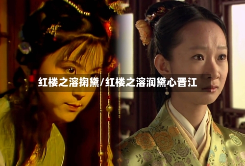 红楼之溶掬黛/红楼之溶润黛心晋江-第3张图片