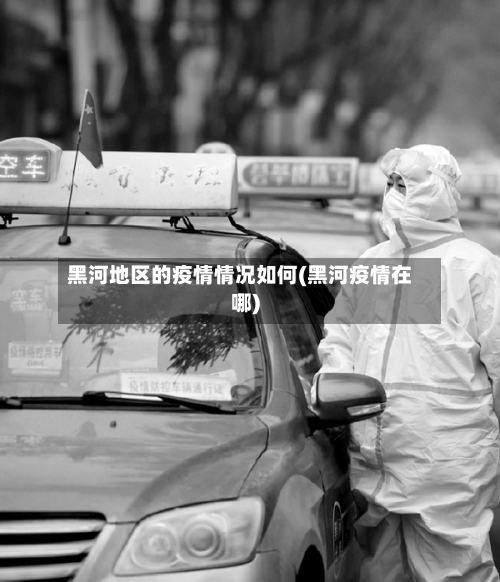 黑河地区的疫情情况如何(黑河疫情在哪)-第2张图片