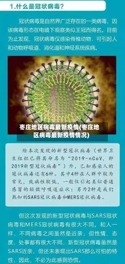 枣庄地区病毒最新疫情(枣庄地区病毒最新疫情情况)-第2张图片