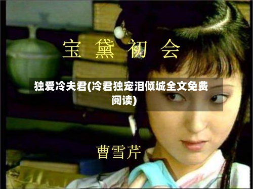 独爱冷夫君(冷君独宠泪倾城全文免费阅读)-第2张图片
